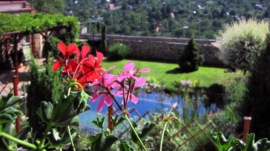 Penzion Kaplanka Znojmo Exteriör bild